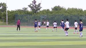 2026世界杯观赛指南全攻略尽在这里